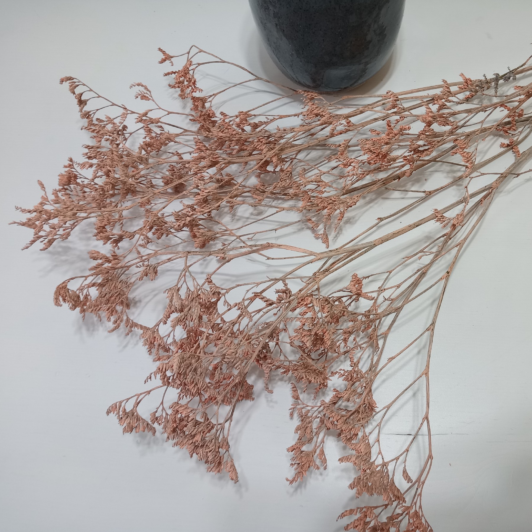 Limonium Rosè /Breitblättriger Strandflieder